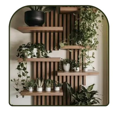 collection-img